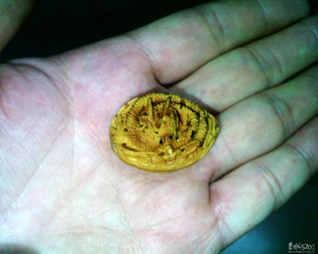 桃核雕的龙，大家欣赏743 / 作者:排散 / 帖子ID:58788