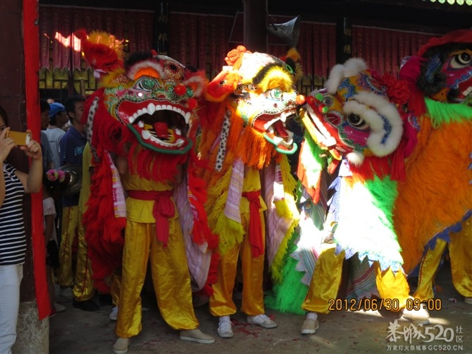 承接各类型舞龙，舞狮，乐队，民间绝活表演219 / 作者:恭城龙狮戏凤 / 帖子ID:58816