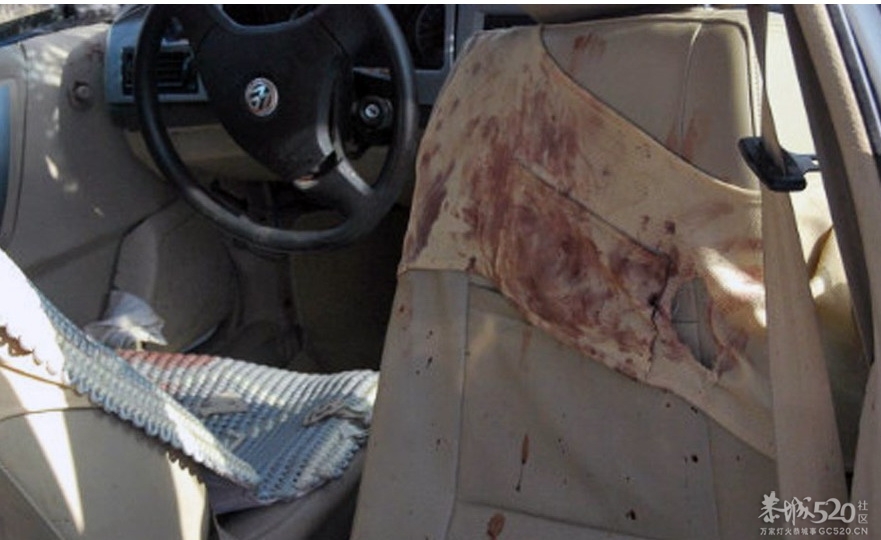 河南南阳一警车醉驾2死5伤。310 / 作者:平安大叔 / 帖子ID:58932