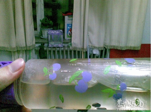 一杯开水放在窗户外凉了一个半小时。。。。。344 / 作者:马路桥~八区 / 帖子ID:58950