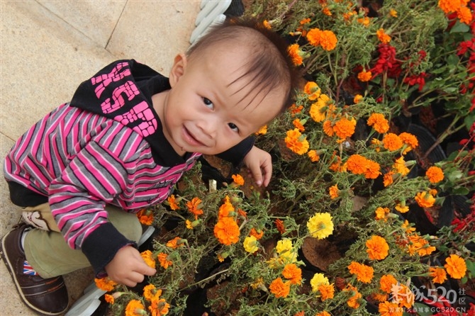 520，我想，我回来了978 / 作者:麻蛋 / 帖子ID:58903