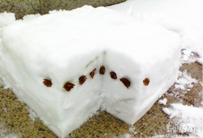 切糕 卖切糕了~~╭(╯3╰)╮135 / 作者:火星娃崽 / 帖子ID:59188