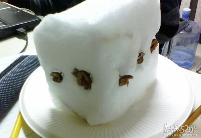 切糕 卖切糕了~~╭(╯3╰)╮173 / 作者:火星娃崽 / 帖子ID:59188