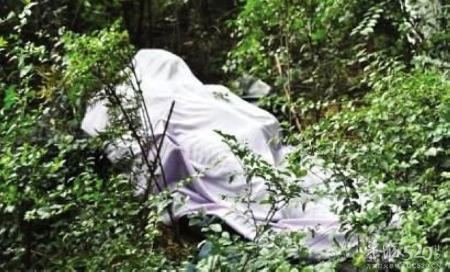 一男子露天草地睡觉被误当死尸吓倒路人。792 / 作者:平安大叔 / 帖子ID:59242