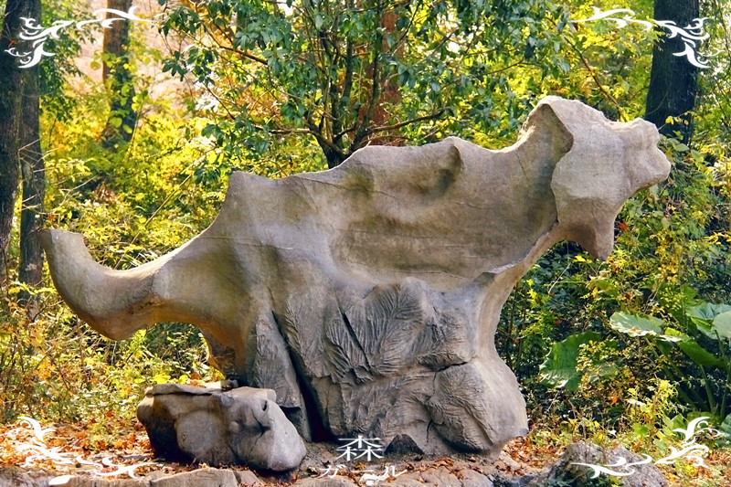 这个石头象什么299 / 作者:瑶乡看兰 / 帖子ID:59265