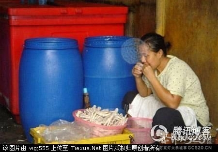 无骨凤爪竟然是用嘴做出来的 我再也不吃了976 / 作者:小锋 / 帖子ID:59339