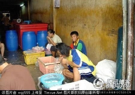 无骨凤爪竟然是用嘴做出来的 我再也不吃了974 / 作者:小锋 / 帖子ID:59339
