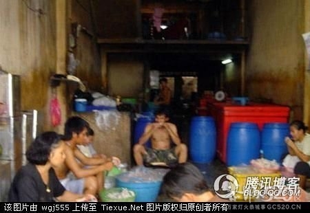 无骨凤爪竟然是用嘴做出来的 我再也不吃了988 / 作者:小锋 / 帖子ID:59339