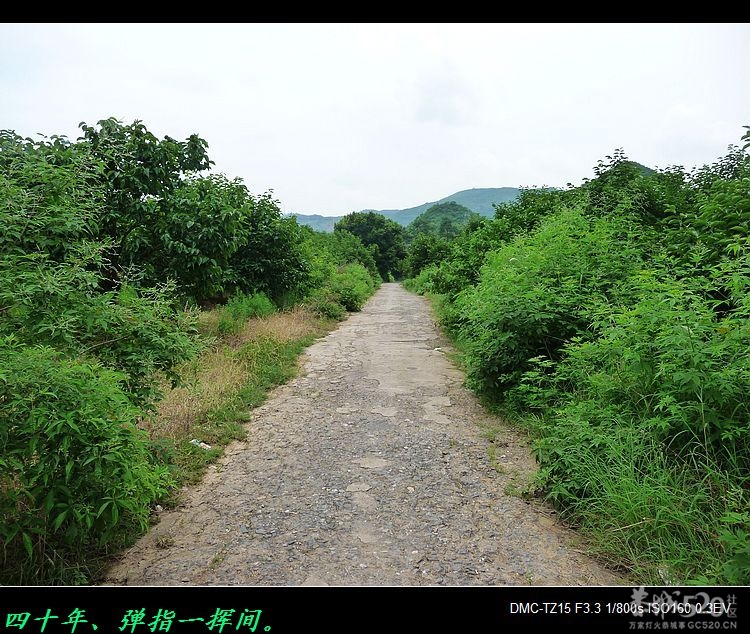 恭城糖厂、糖厂道班，渐渐远去的记忆。0 / 作者:平安大叔 / 帖子ID:59424