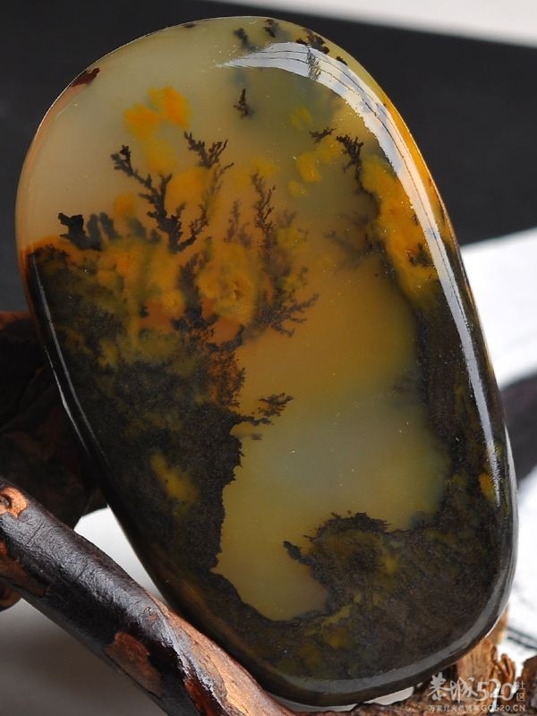 草花石701 / 作者:醉仙 / 帖子ID:59523