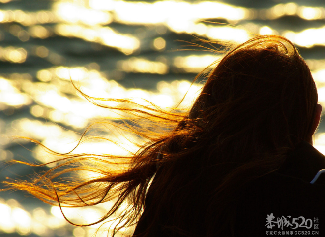 暗恋你，是我不对。979 / 作者:输入法 / 帖子ID:59647