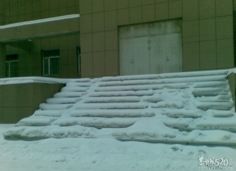 东北是个危险的地方——不知道头上会掉什么东西下来223 / 作者:马路桥~八区 / 帖子ID:59656