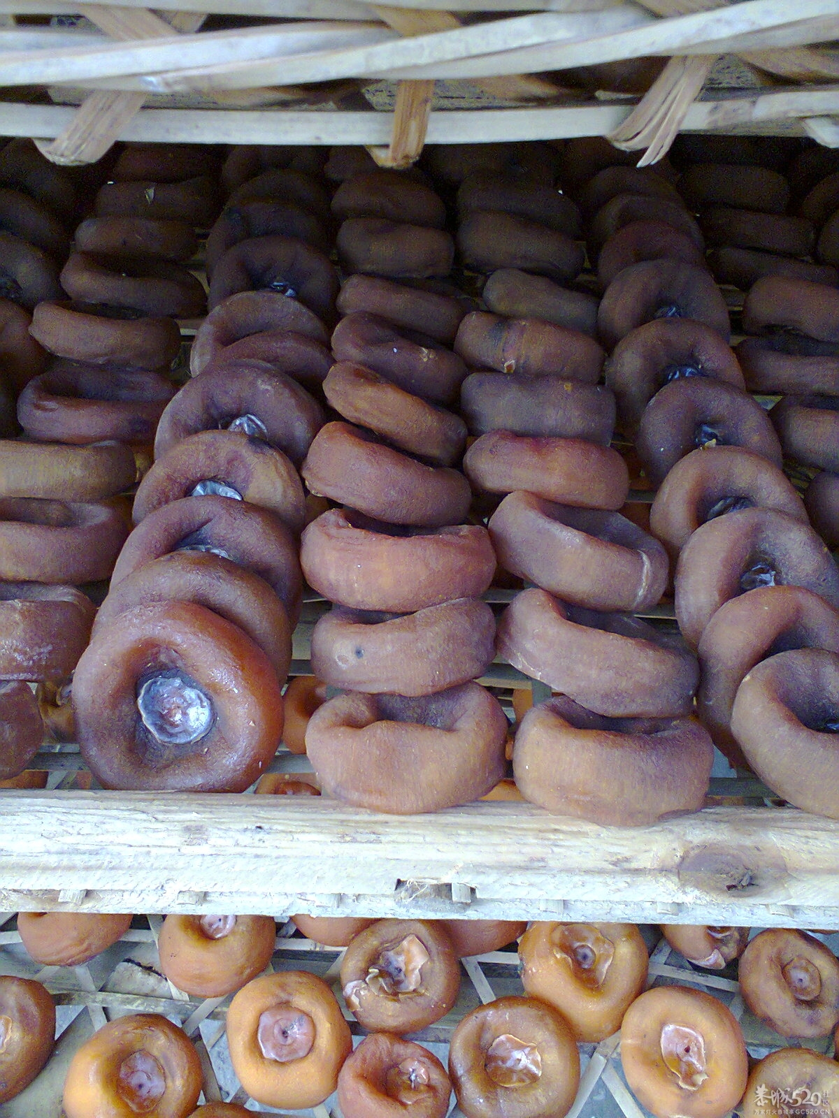 别人画的美女608 / 作者:否定一切 / 帖子ID:59660