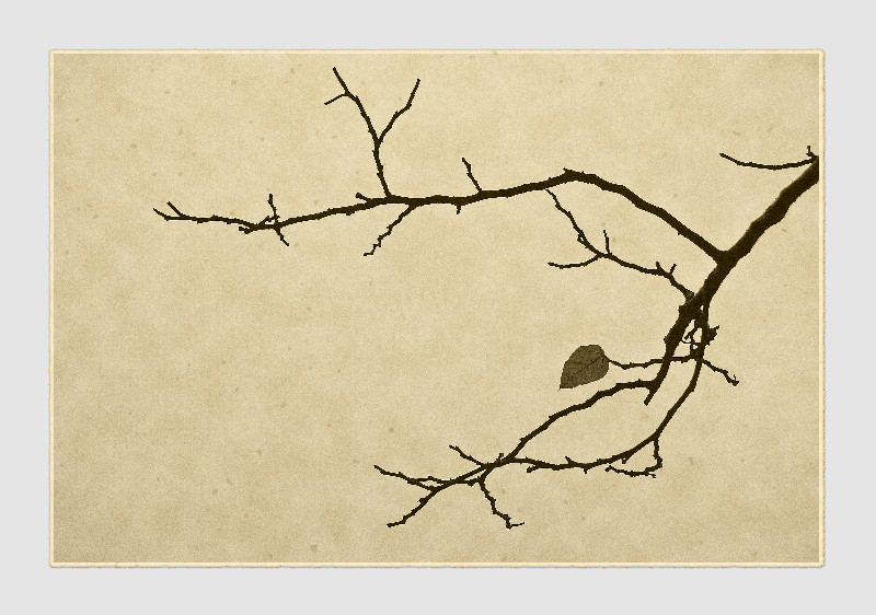 我的2012★花卉462 / 作者:私想者 / 帖子ID:59708