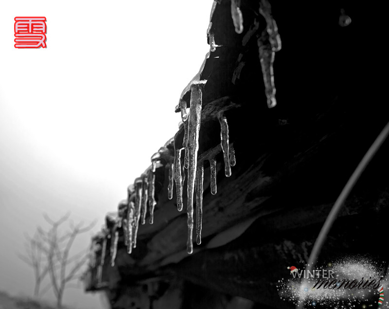 雪444 / 作者:其修远 / 帖子ID:59838