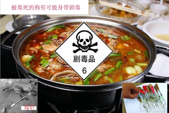 珍爱生命 请勿吃狗（可能带有剧毒）409 / 作者:安防监控 / 帖子ID:59894