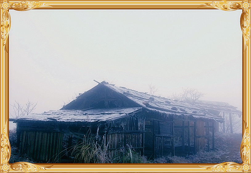 雪景 [续.续]689 / 作者:瑶乡看兰 / 帖子ID:59960