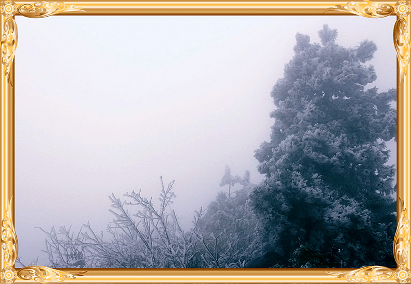雪景 [续.续]256 / 作者:瑶乡看兰 / 帖子ID:59960
