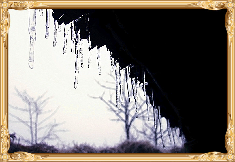 雪景 [续.续]948 / 作者:瑶乡看兰 / 帖子ID:59960