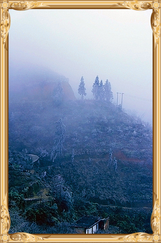雪景 [续.续]47 / 作者:瑶乡看兰 / 帖子ID:59960