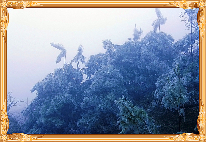 雪景 [续.续]884 / 作者:瑶乡看兰 / 帖子ID:59960