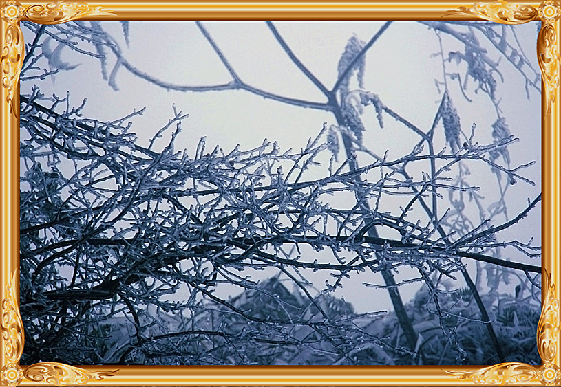 雪景 [续.续]649 / 作者:瑶乡看兰 / 帖子ID:59960