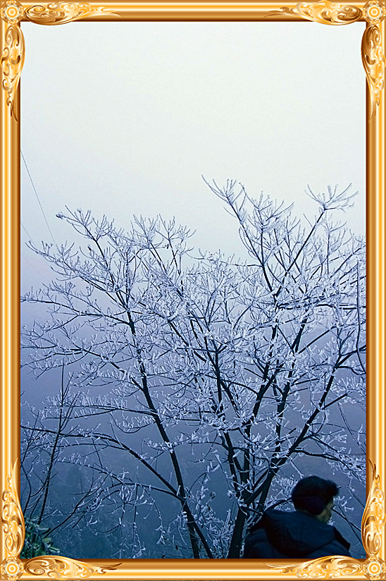 雪景 [续.续]522 / 作者:瑶乡看兰 / 帖子ID:59960