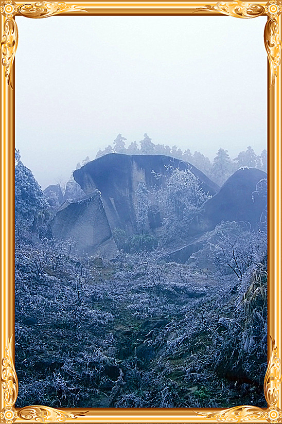 雪景 [续.续]259 / 作者:瑶乡看兰 / 帖子ID:59960