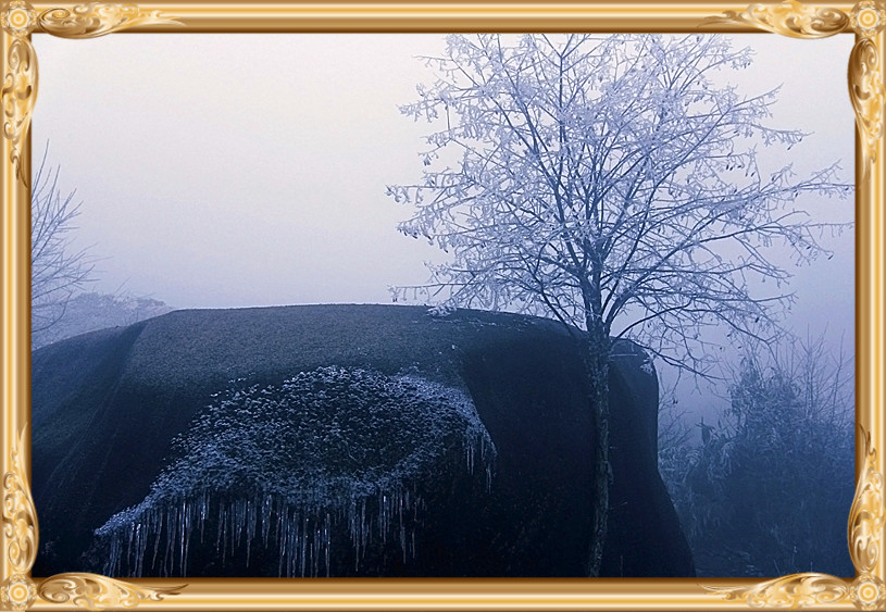 雪景 [续.续]929 / 作者:瑶乡看兰 / 帖子ID:59960