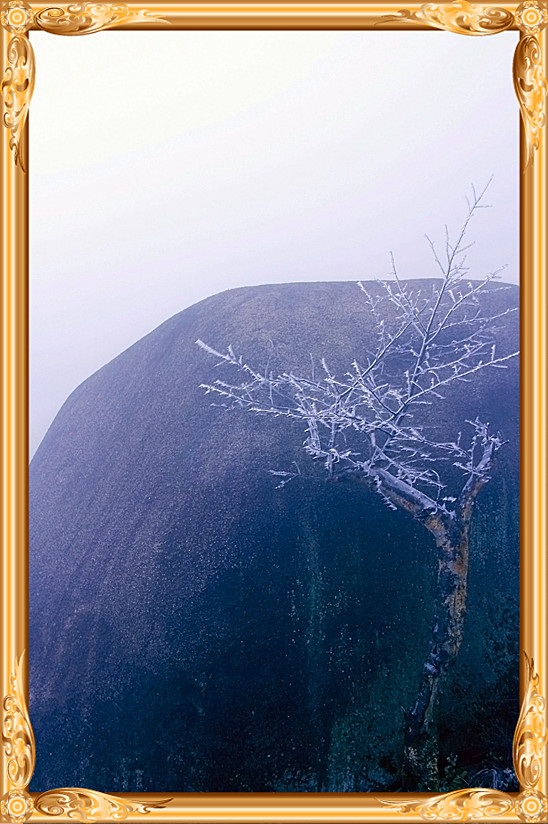 雪景 [续.续]111 / 作者:瑶乡看兰 / 帖子ID:59960