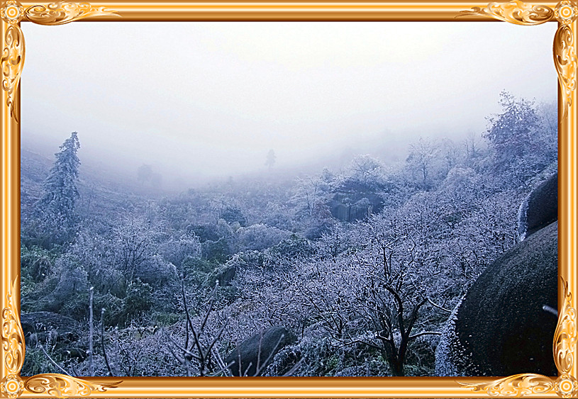雪景 [续.续]429 / 作者:瑶乡看兰 / 帖子ID:59960