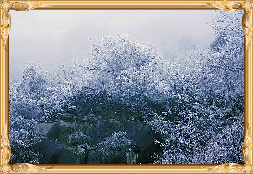 雪景 [续.续]493 / 作者:瑶乡看兰 / 帖子ID:59960