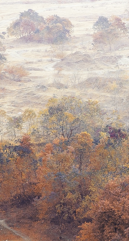 我的2012★风景126 / 作者:私想者 / 帖子ID:59713