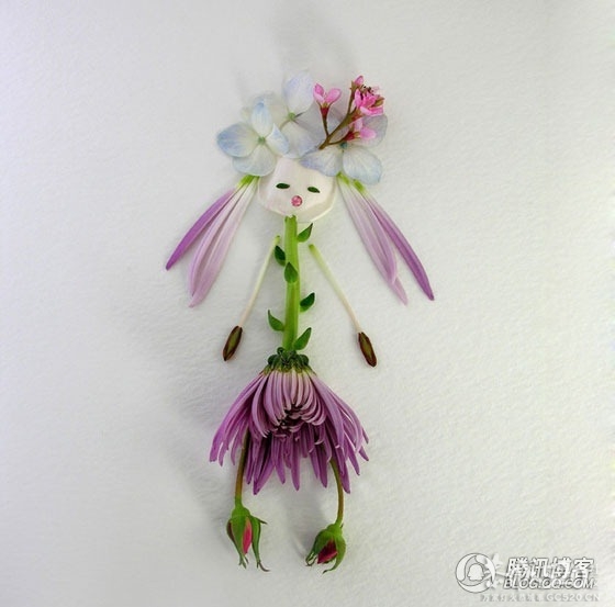 花姑娘，那么美····422 / 作者:爱哭鬼 / 帖子ID:60004