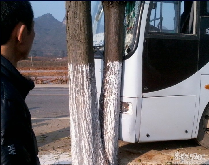 快过年了开车要注意安全203 / 作者:山高人为峰 / 帖子ID:60126