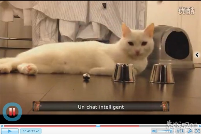 2013年1月第二周碉堡傻缺视频合辑984 / 作者:结局、丆過如此 / 帖子ID:60539