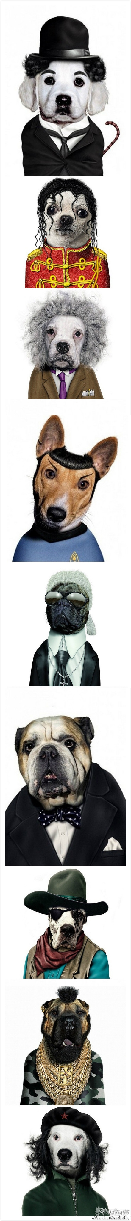 猜猜看  【汪星人也有明星脸】350 / 作者:小雨点 / 帖子ID:60894