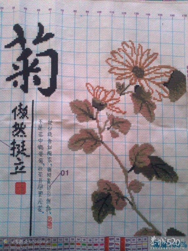 十字绣888 / 作者:乐乐 / 帖子ID:57802