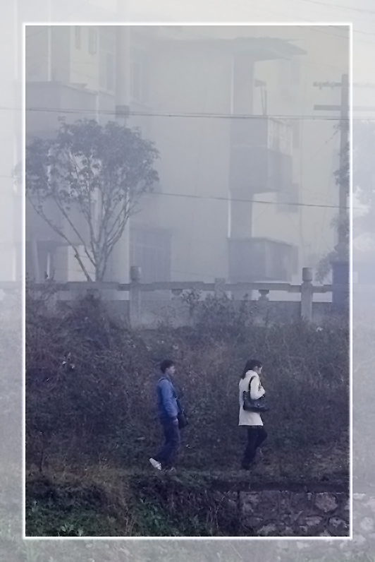 漫步茶江282 / 作者:瑶乡看兰 / 帖子ID:61203