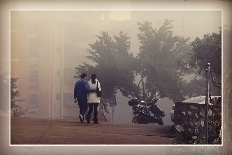 漫步茶江734 / 作者:瑶乡看兰 / 帖子ID:61203