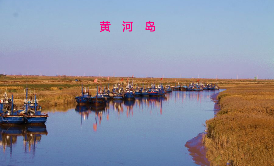 冬韵·黄河岛423 / 作者:唯美幽情 / 帖子ID:61299
