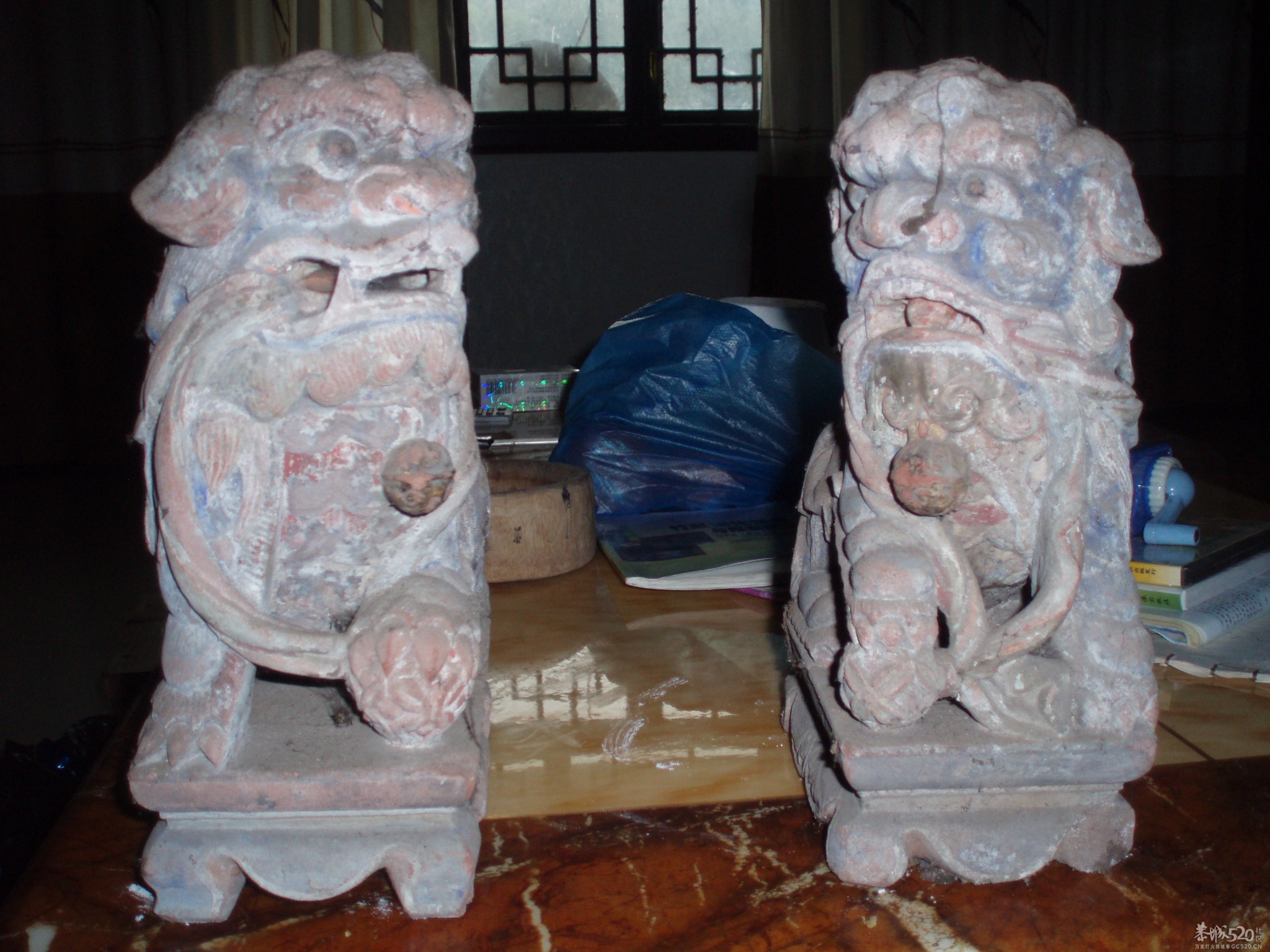 小狮子一对446 / 作者:恭城蚂蜂 / 帖子ID:61335