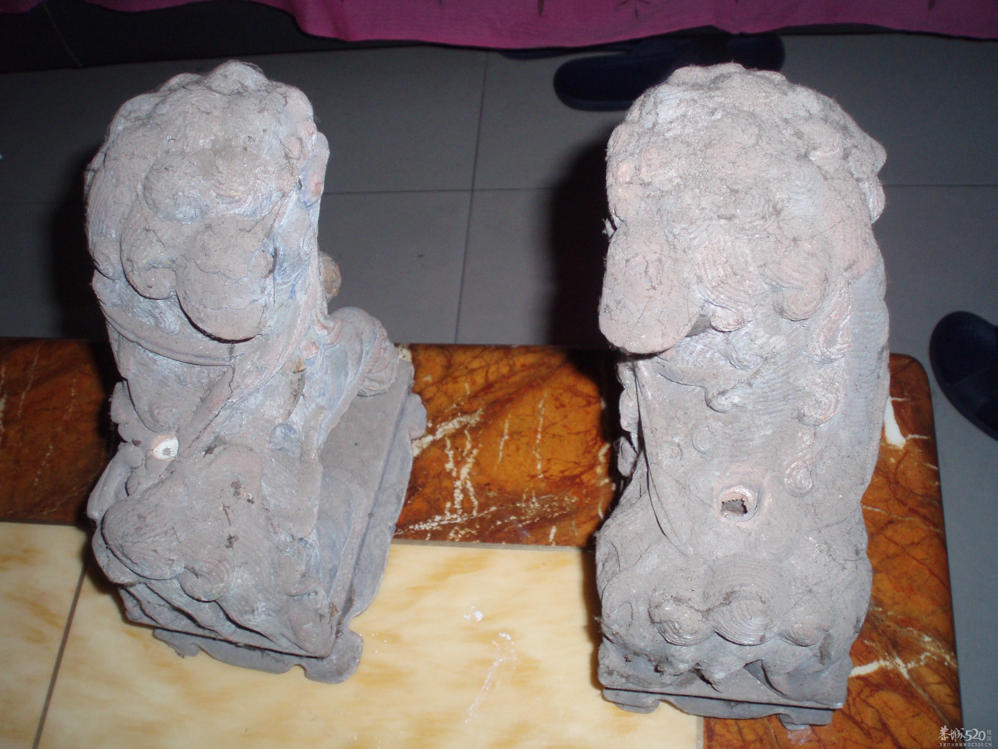 小狮子一对116 / 作者:恭城蚂蜂 / 帖子ID:61335