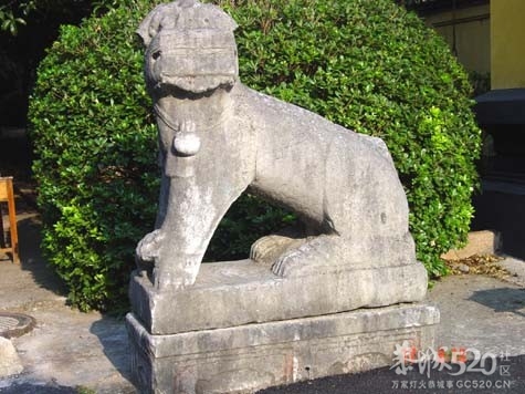 狮子两条265 / 作者:恭城蚂蜂 / 帖子ID:61340