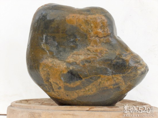 蛇年到上两块有蛇的石头凑热闹373 / 作者:暮云春树 / 帖子ID:61444