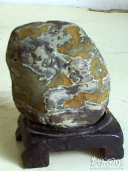 蛇年到上两块有蛇的石头凑热闹356 / 作者:暮云春树 / 帖子ID:61444