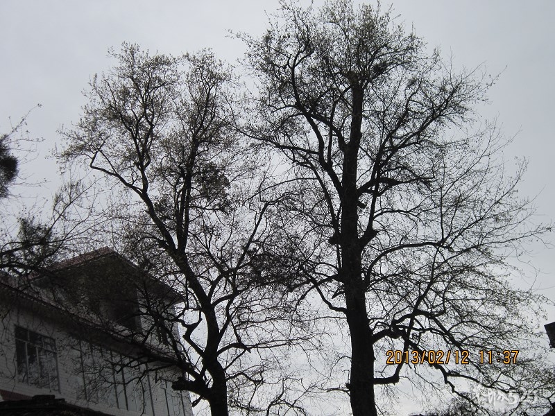 这个老古董是做什么用的745 / 作者:←￠华◥眚☆ / 帖子ID:61518