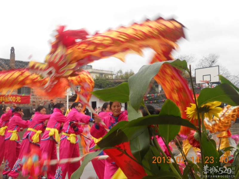 莲花水圳口文体活动中心落成庆典948 / 作者:麒麟玉 / 帖子ID:61548
