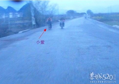 小紫踩单车PK摩托车858 / 作者:马路桥~八区 / 帖子ID:61677