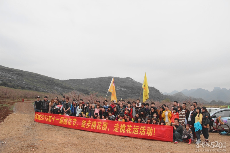 恭城520社区 2013行桃花园.走桃花运活动 图片集中营（已更新）！977 / 作者:孤单远行 / 帖子ID:61681